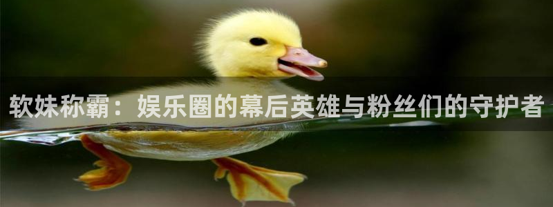 富邦娱乐