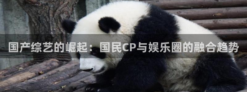 富邦娱乐