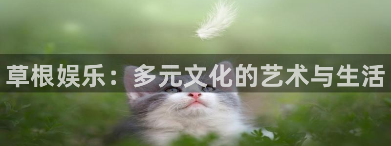 富邦娱乐
