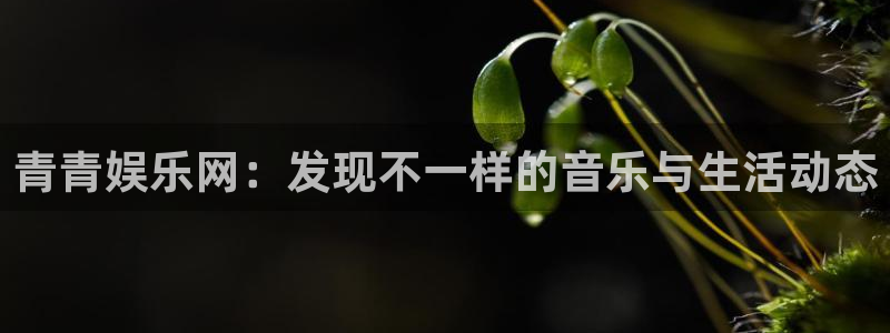富邦娱乐