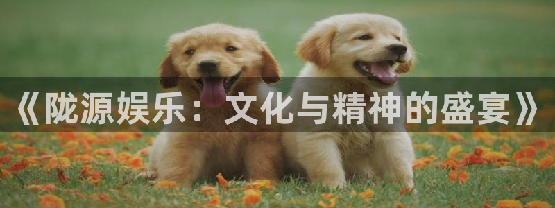 富邦娱乐