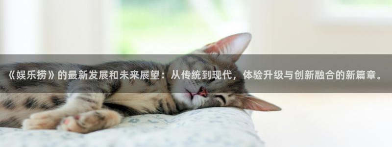 富邦娱乐